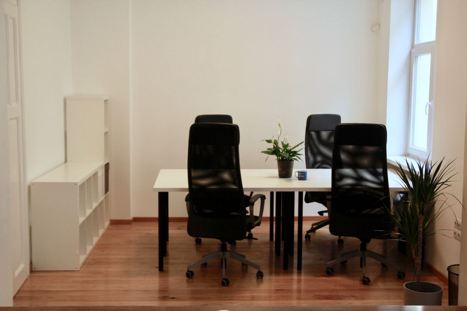 Trevor Workspaces Vitoshka / Europe / Bulgaria