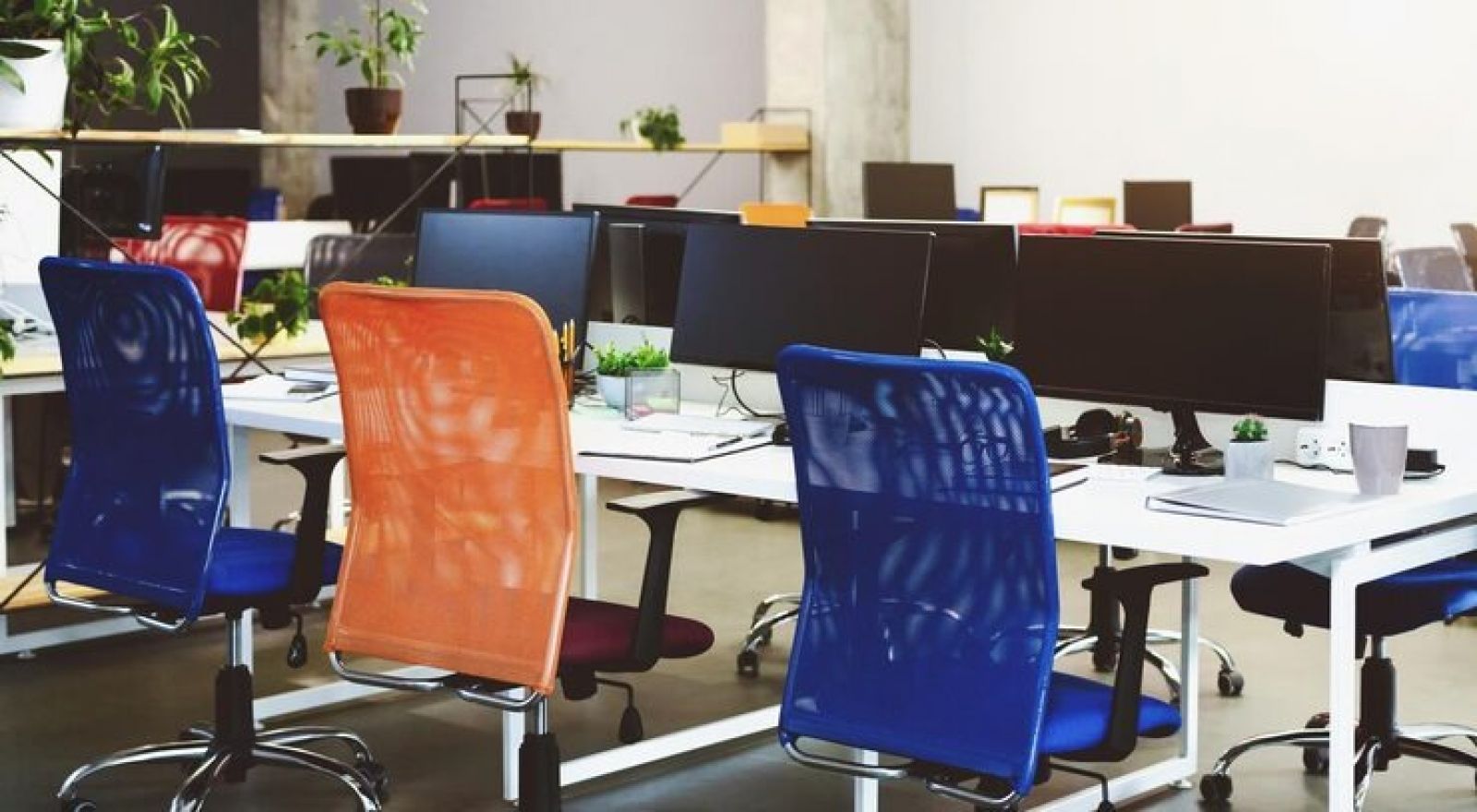 Certum Coworks / Asia / India