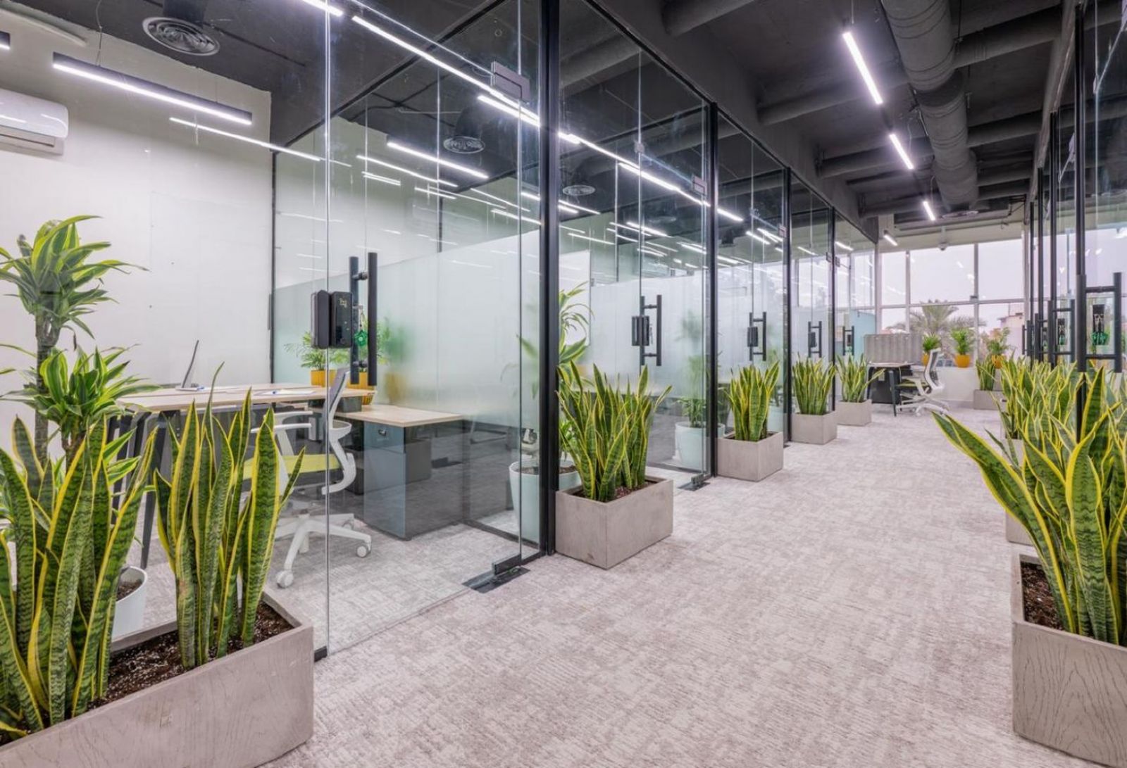 Hayez Coworking Space - حيز (Al Taawun) / Asia / Saudi Arabia