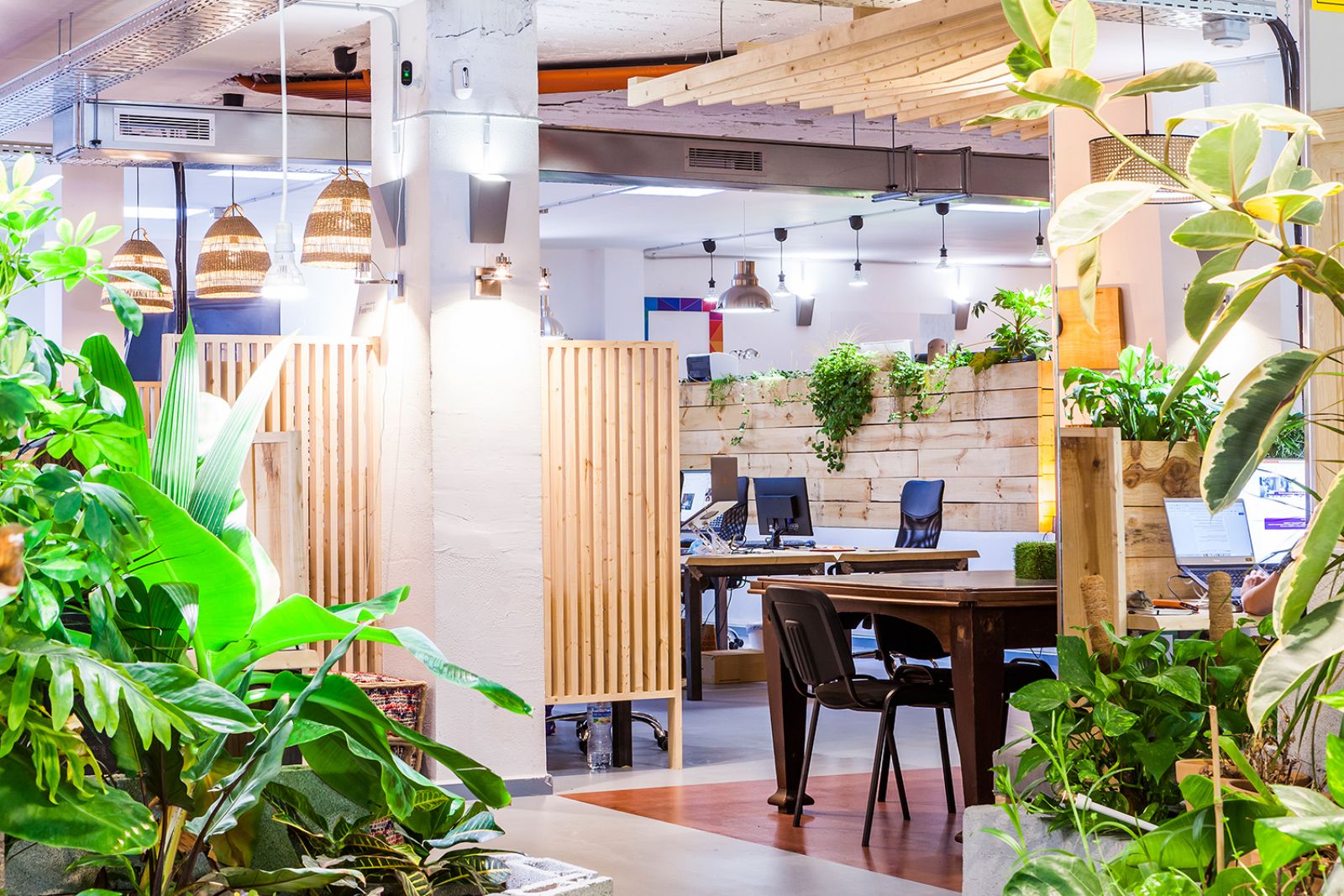 Cómodo&Co (Arxiduc) / Europe / Spain / Palma de Mallorca