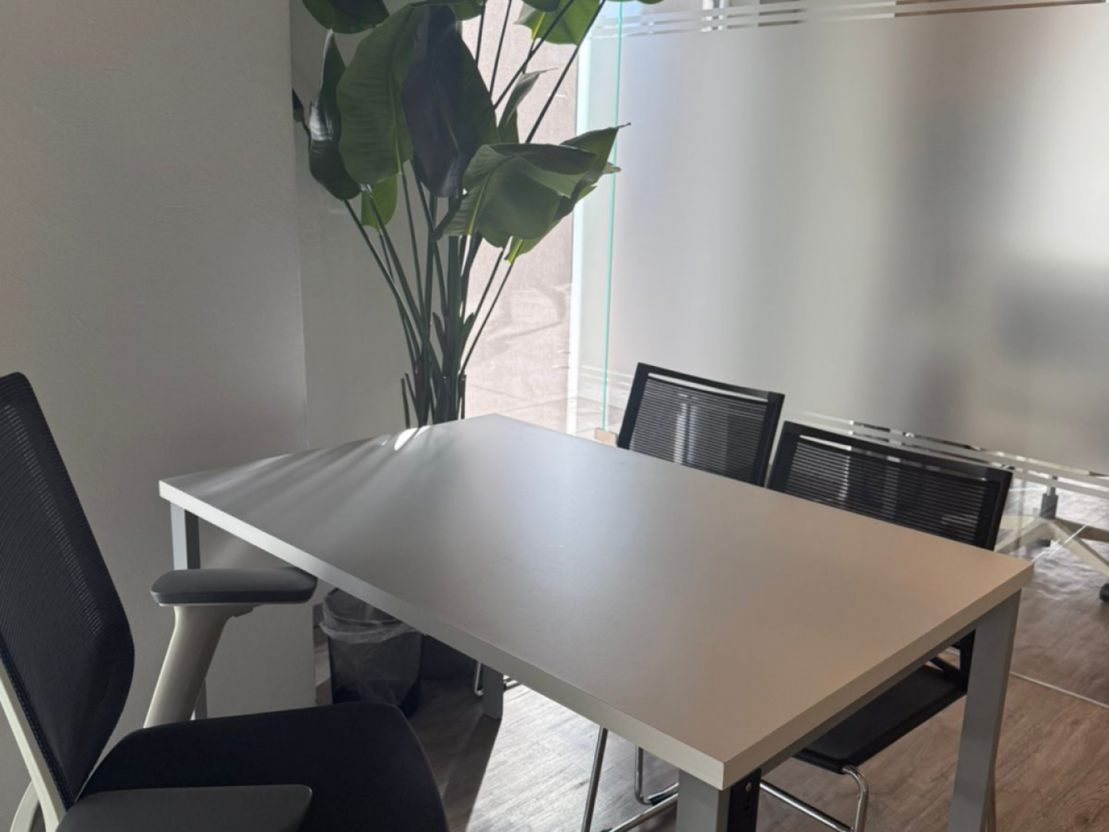 WRKOffices / North America / Mexico / Cuernavaca