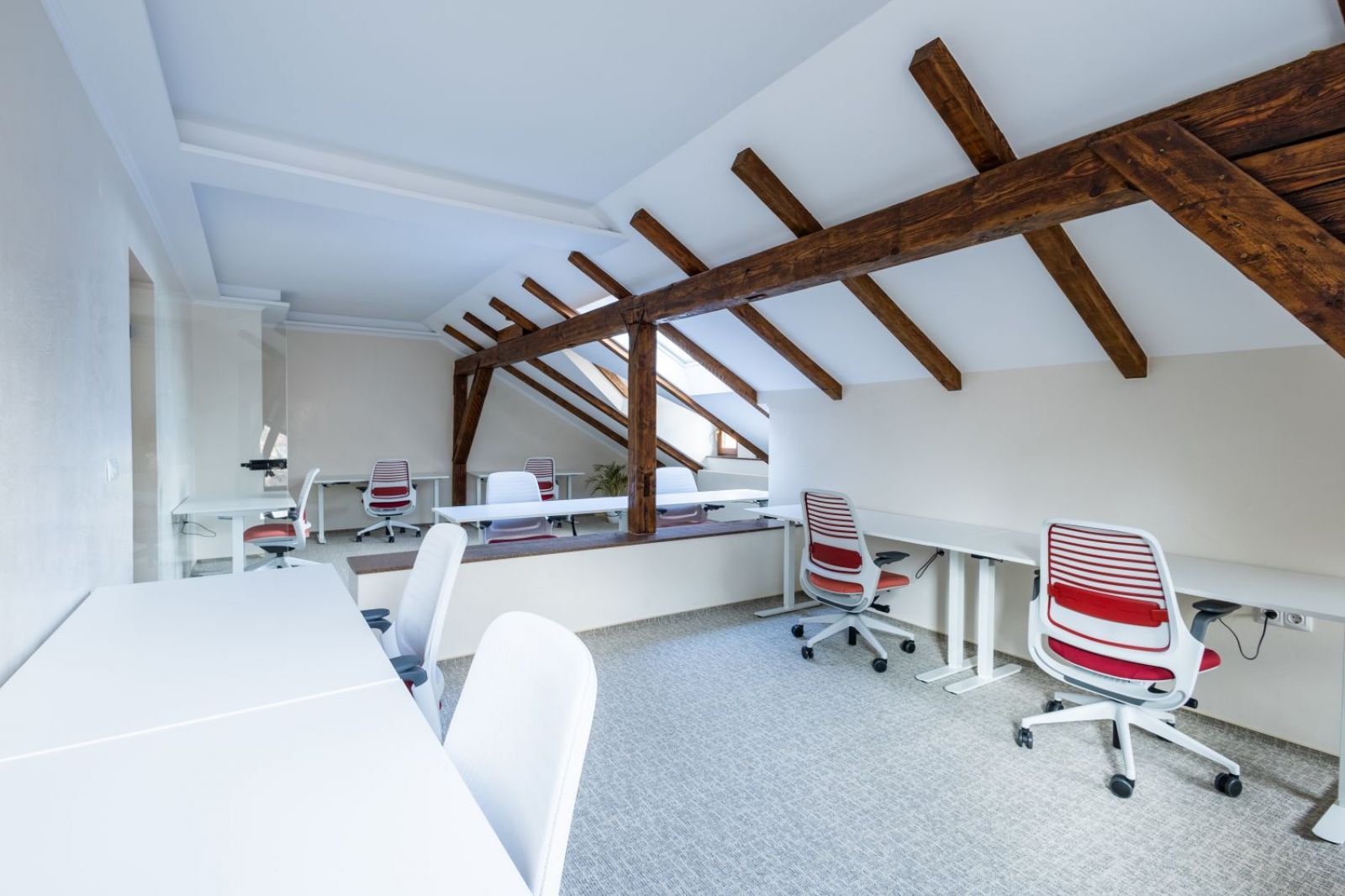 Maccollab / Europe / Romania / Brasov