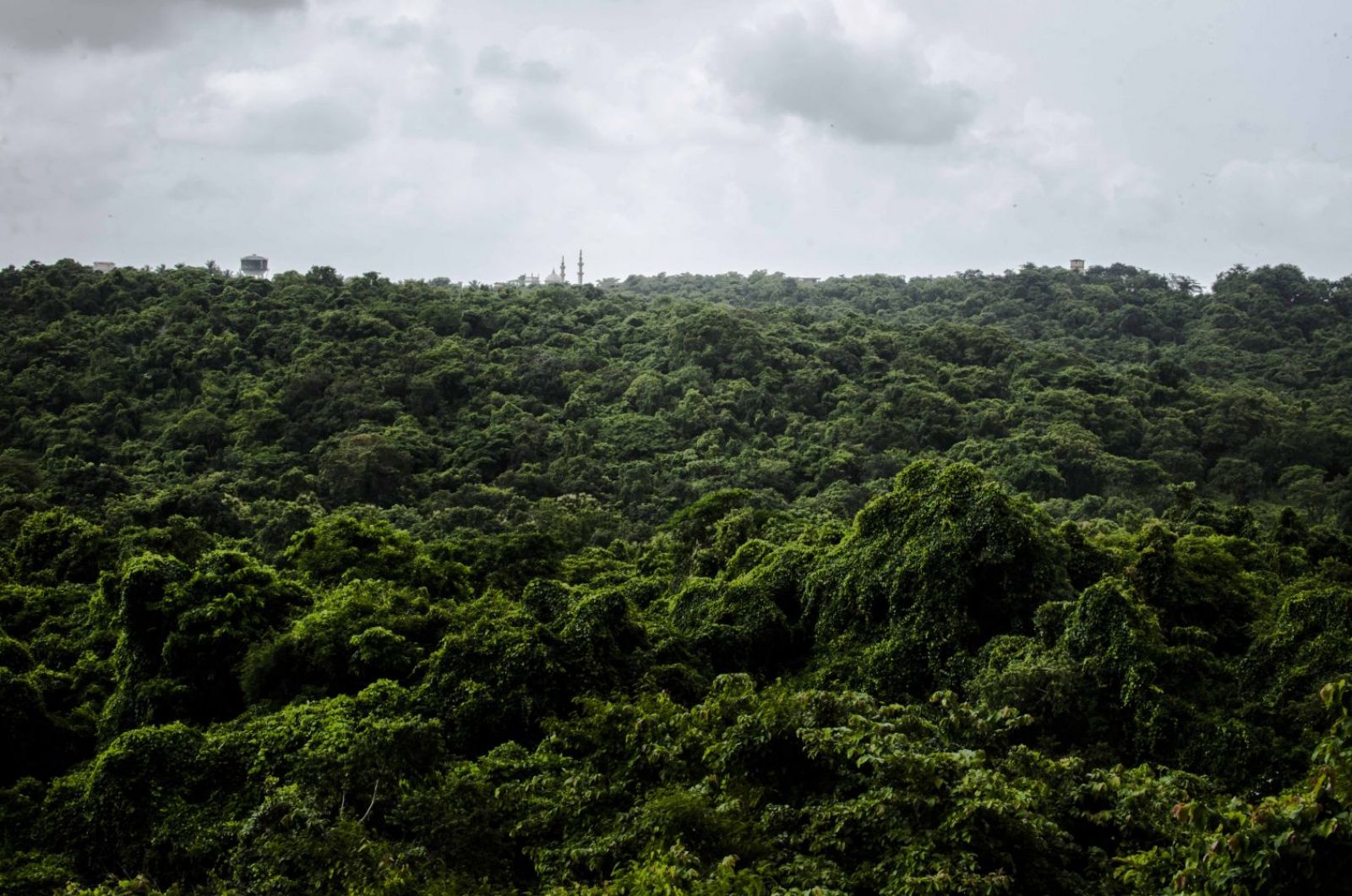 Sky Villa / Asia / India / Porvorim