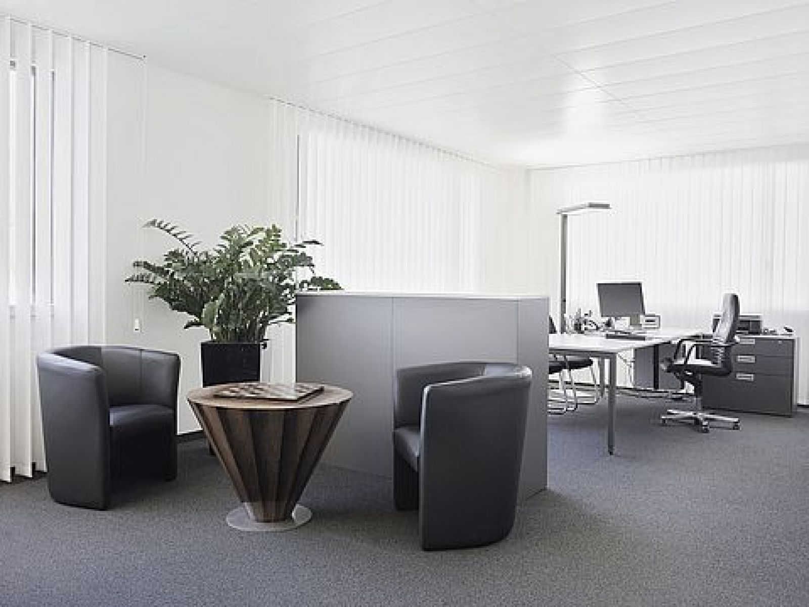 Business-Center / Europe / Liechtenstein / Triesen