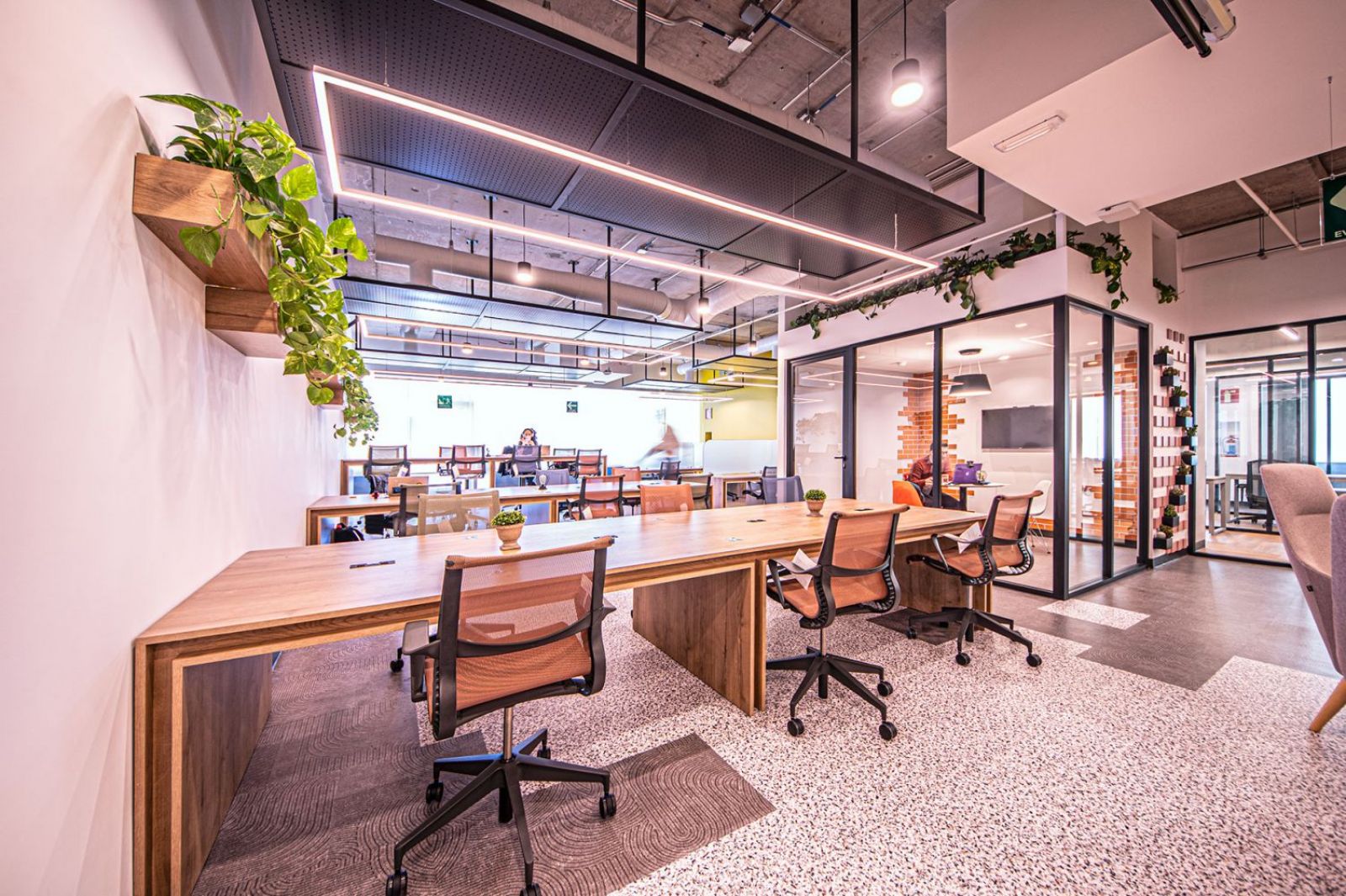 Nex Offices Vertice / North America / Mexico / San Luis Potosi