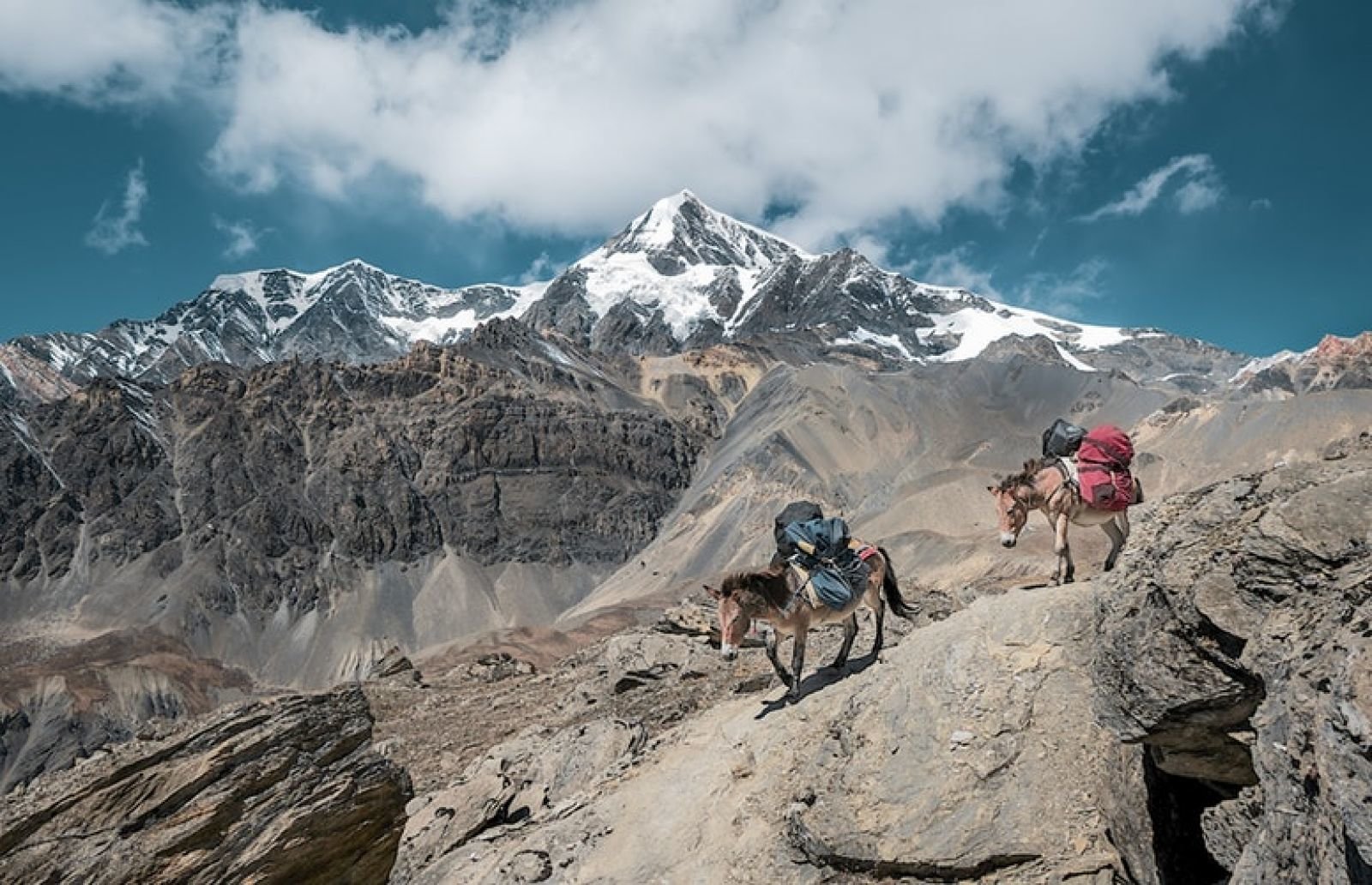 Aim high in the Himalayas / Asia / Nepal / Kathmandu