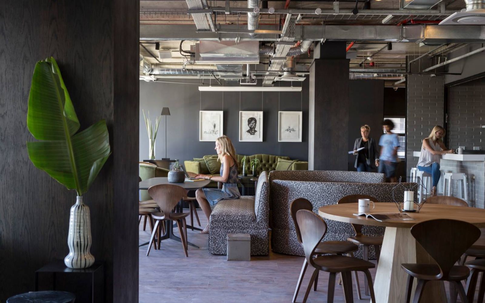 Work & Co / Africa / South Africa / Cape Town