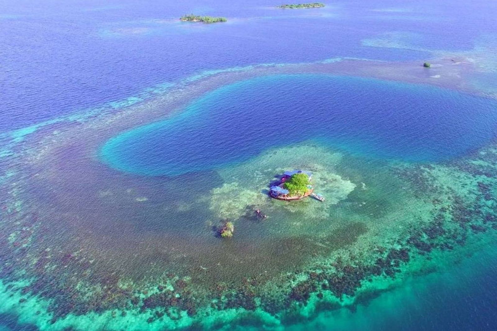 Cowork with corals / Central America / Belize