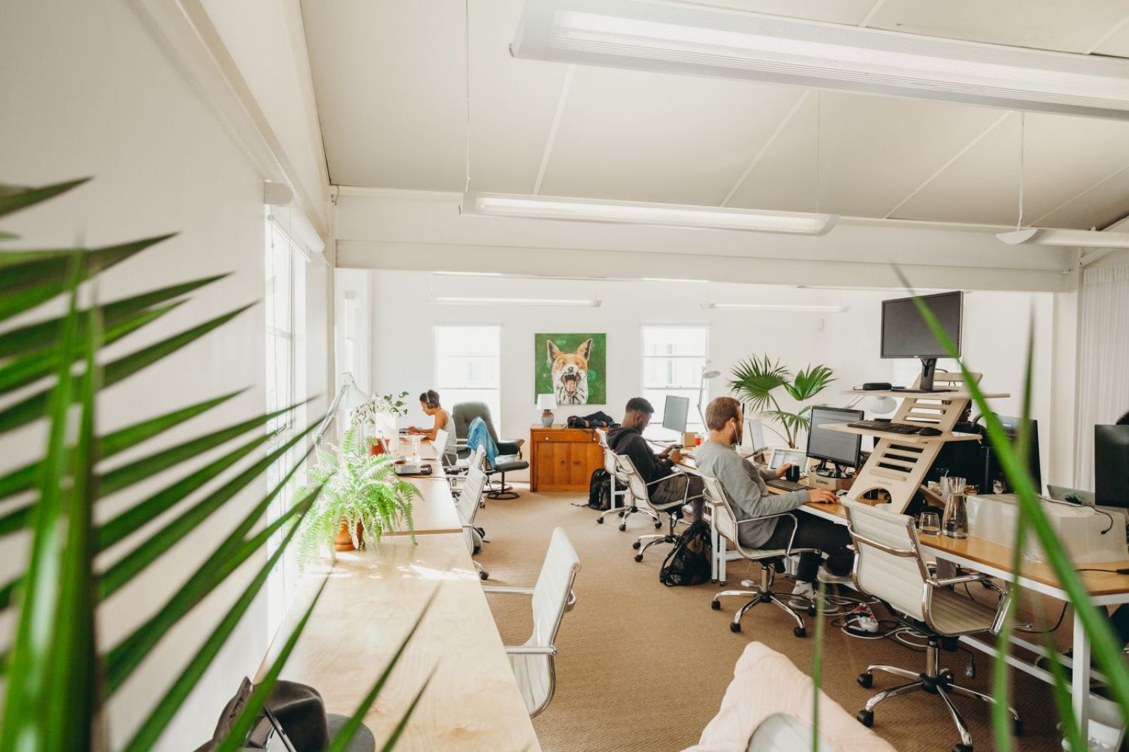 Craft+Graft / Africa / South Africa / Cape Town