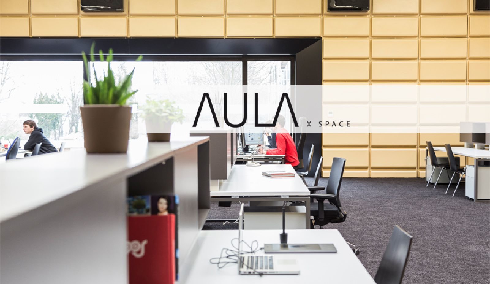 AULA x space - Coworking Space Graz / Europe / Austria / Graz