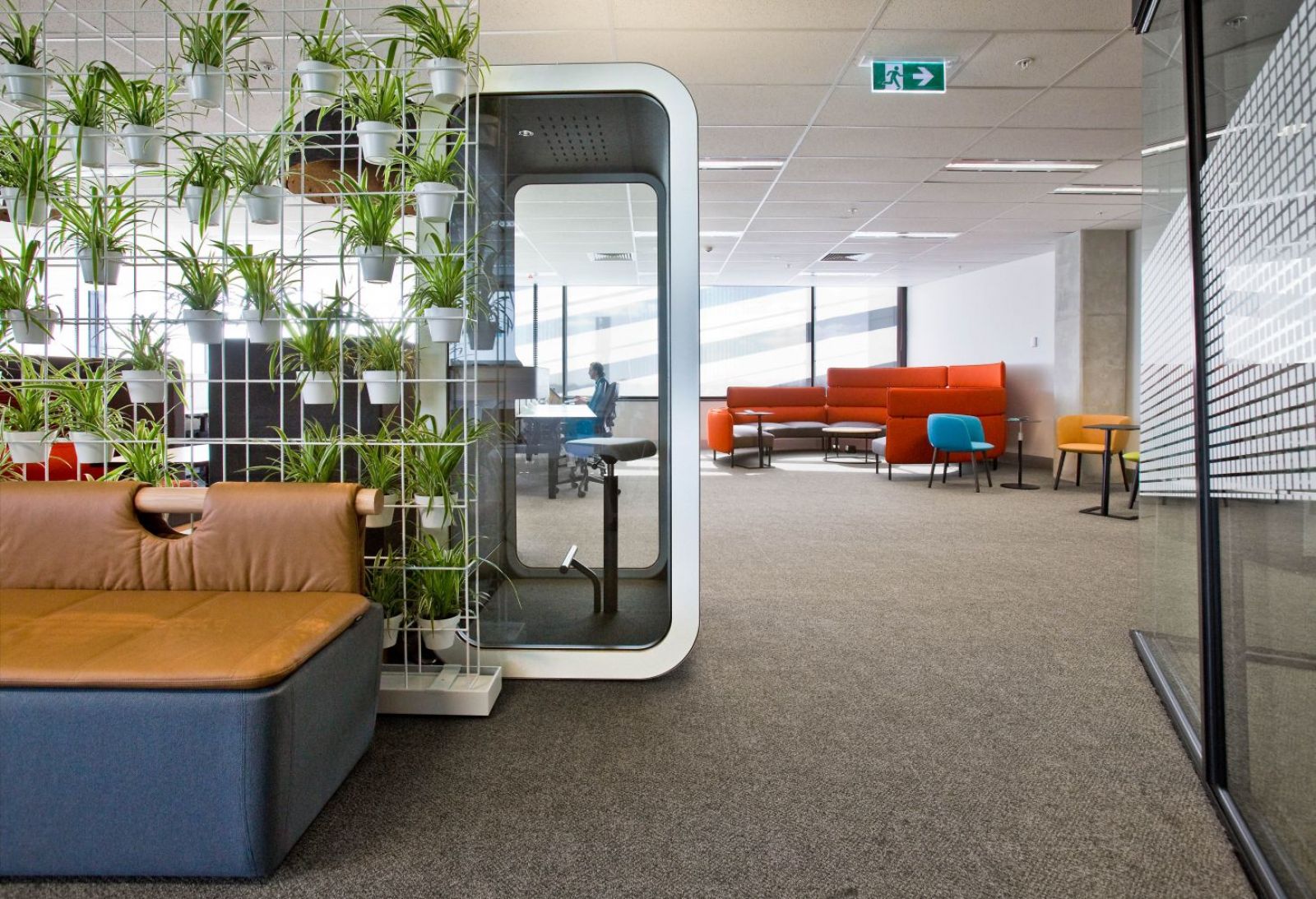 iHarvest Coworking Sunshine / Australia / Sunshine Coast