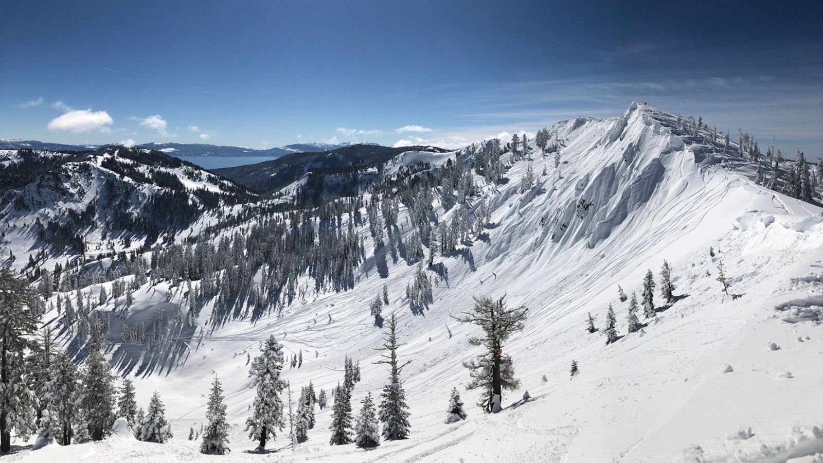 Alpine Meadows