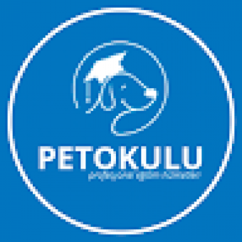 Pet Okulu Köpek Eğitimi