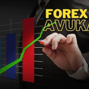 Forex Avukati