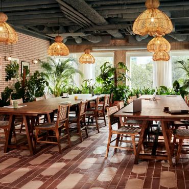 Winter Garden 