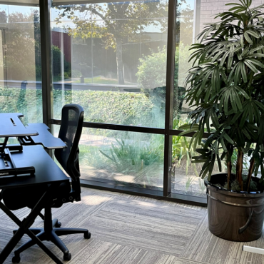 Window Office
