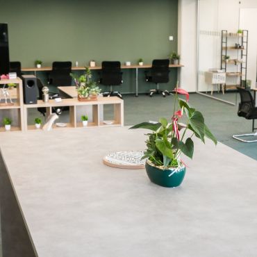 Bo.ka stands out in Paphos for its integration of workspace and business facilitation—a combination unique among coworking spaces on the island. Members benefit from a curated environment tailored for clarity and connection.
