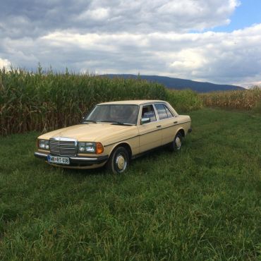vintage Mercedes for short trips around Slovenia 