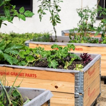 Permaculture Garden