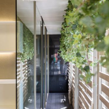 Backyard walkway