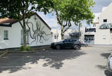 The Octopus House