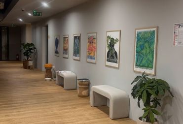 V7 Startup Studio Palas