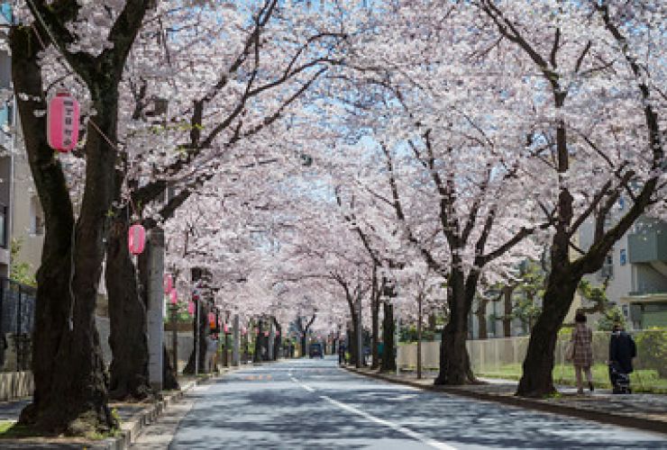 Matsudo