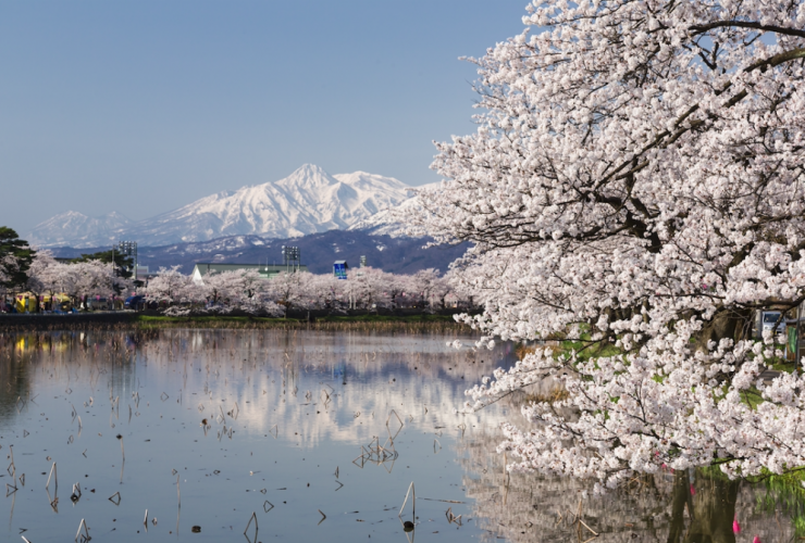 Niigata