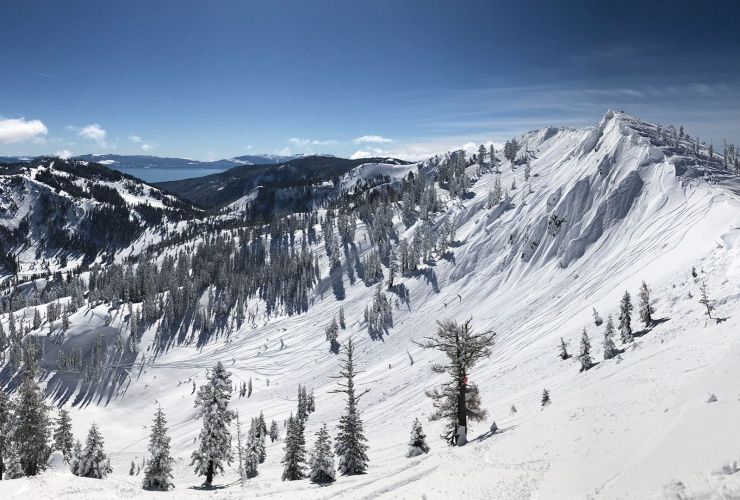 Alpine Meadows