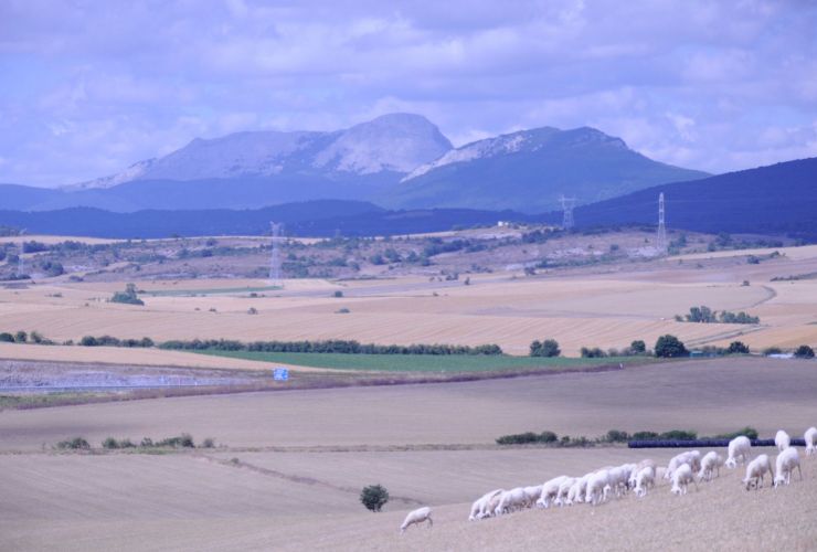 Vitoria-Gasteiz