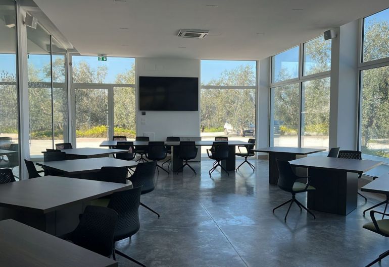 The Olive Oil Hub - Ciccolella